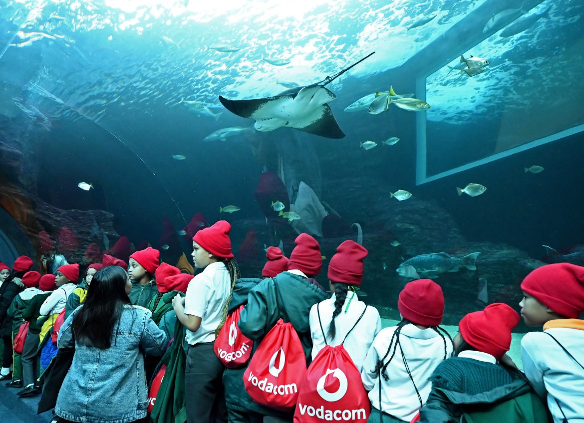 Marine media release image Vodacom launches Eco-Warriors competition empowering learners to create tech-driven environmental solutions across South Africa.
